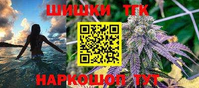 индика Шелехов
