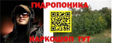 a pvp Шебекино
