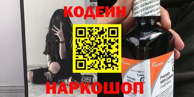 индика Шелехов