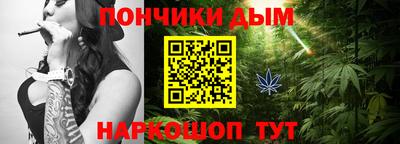 индика Шелехов