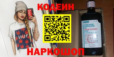 индика Шелехов