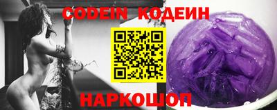 индика Шелехов