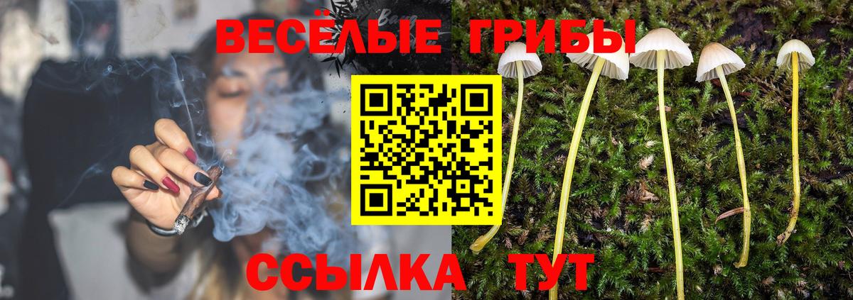 Псилоцибиновые грибы прущие грибы Назарово